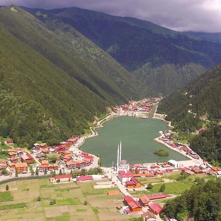 Zeren Bungalov Lejlighedshotel Uzungöl Eksteriør billede