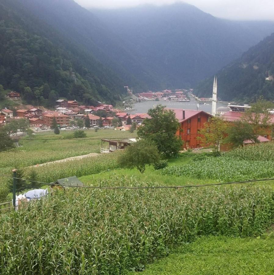 Zeren Bungalov Lejlighedshotel Uzungöl Eksteriør billede