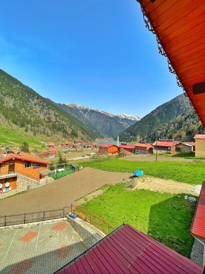 Zeren Bungalov Lejlighedshotel Uzungöl Eksteriør billede