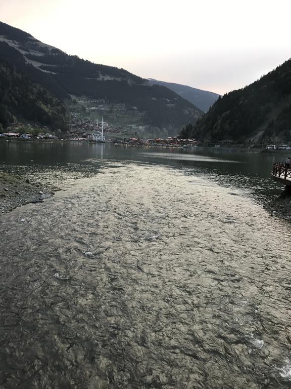 Zeren Bungalov Lejlighedshotel Uzungöl Eksteriør billede