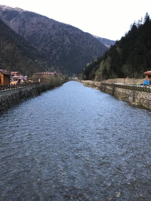 Zeren Bungalov Lejlighedshotel Uzungöl Eksteriør billede