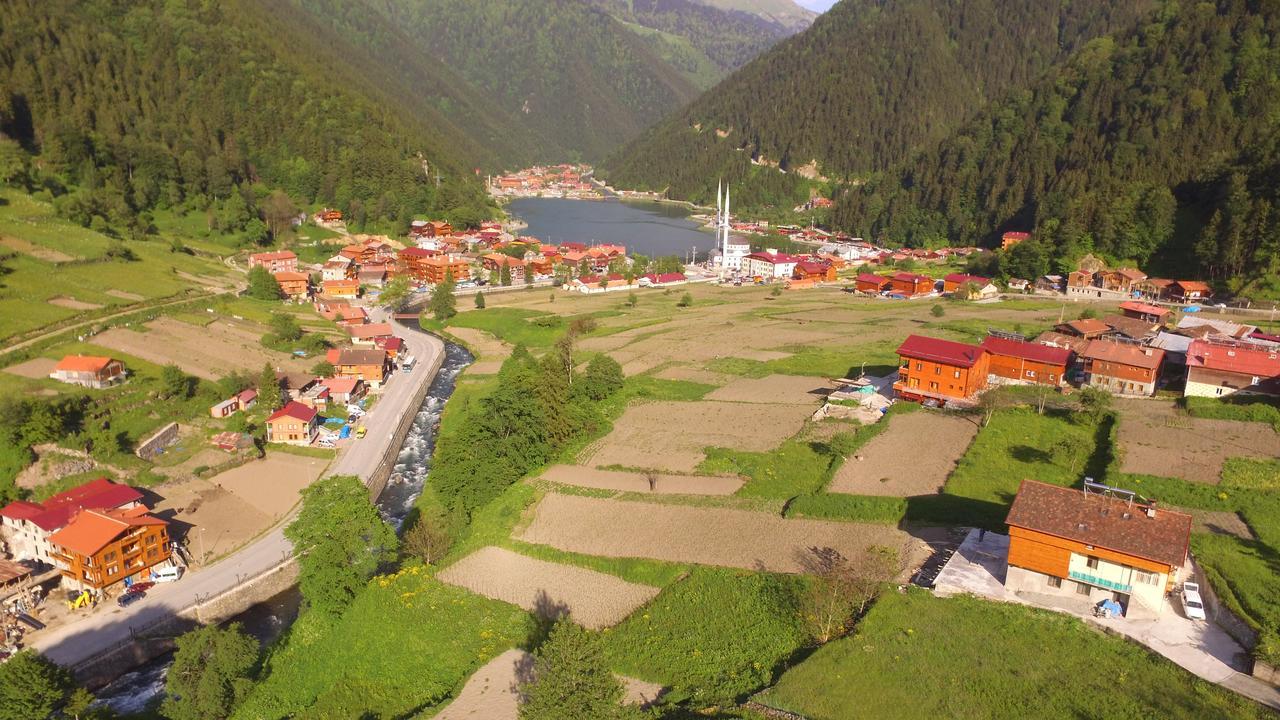 Zeren Bungalov Lejlighedshotel Uzungöl Eksteriør billede