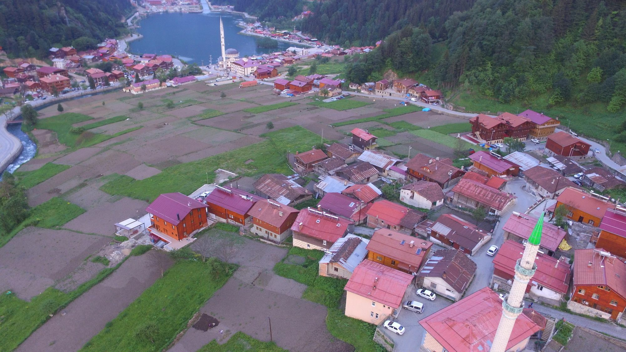 Zeren Bungalov Lejlighedshotel Uzungöl Eksteriør billede